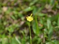 Tn 344 DSC 8365
